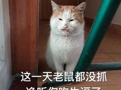 -星光耀广场(安吉路店)