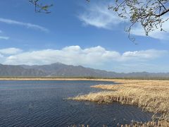 -野鸭湖国家湿地公园