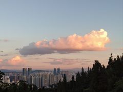 -长虫山生态公园风景林