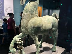 -广西壮族自治区博物馆