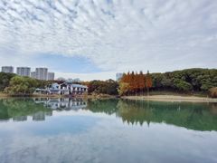 -新洲生态园