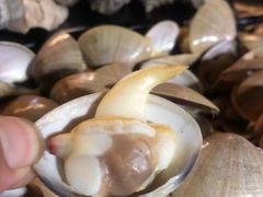 -兆辉木炭海鲜烧烤·海鲜小炒