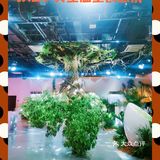 JNBY共生温室创意展，体验超现实空间