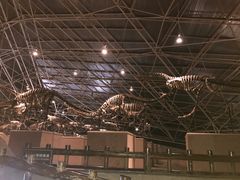 -世界恐龙谷景区