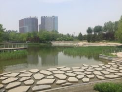 -大望京儿童游乐场