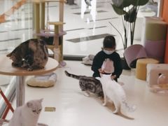 -三花喵·撸猫购宠·宠物生活馆(虹桥南丰城店)
