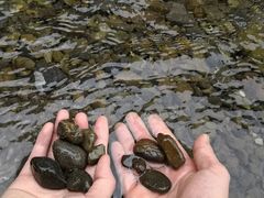 -海窝子古镇