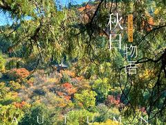 -香山公园