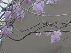 -郑和公园