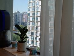 -众独空间沉浸式自习室(三阳路铂仕汇店)