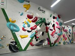 -绿壁虎攀岩基地(Tcar店)