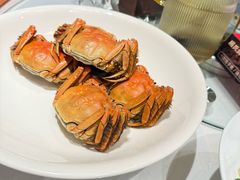 -杨氏青龙虾·羊蝎子(金盛路总店)