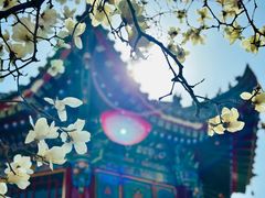 -西安市广仁寺