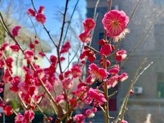 -山东师范大学(千佛山校区)