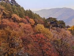-妙峰山风景名胜区