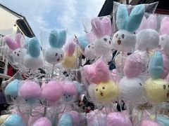 -东台西溪天仙缘景区