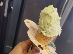 -野人先生现做冰淇淋(北京顺义祥云小镇店)