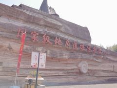 -金钉子远古世界景区