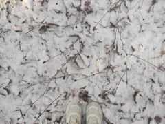 -帽儿山国家森林公园