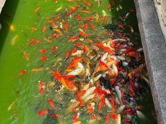 -茂陵博物馆