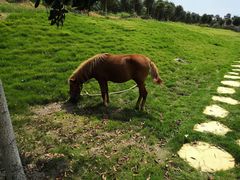 -武汉紫薇都市田园