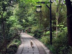 -成都市活水公园