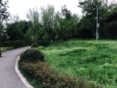 -桤木河湿地公园