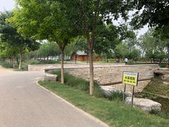-东郊湿地公园