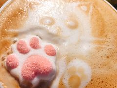 -猫咪博物馆(顶澳仔猫街店)