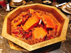 -苏州金科大酒店