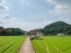 -红山村