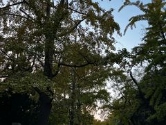 -八大关景区