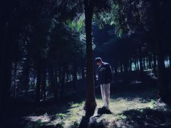 -玉舍国家森林公园