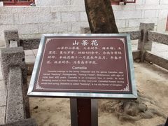 -青岛崂山太清宫