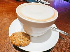 -bluefrog蓝蛙(新三里屯太古里店)