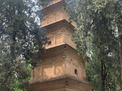 -兴教寺