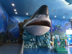 -多彩贵州城极地海洋世界