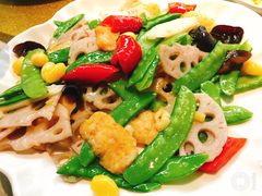 -大树头森林餐厅(番禺广场店)