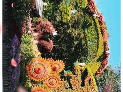-国家植物园