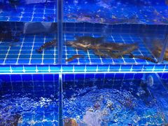 -厦门宝龙铂尔曼大酒店·海鲜自助餐厅