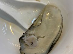 最大的一只蚝-飞尝蚝·顺德菜·鱼生(顺德总店)