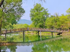 -百里山水画廊