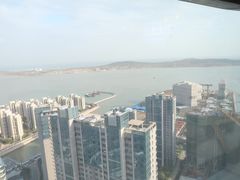 -柴犬小屋·柴餐厅·狗咖食堂(金鼎广场店)