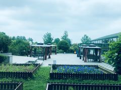 -太阳岛度假酒店