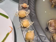 -日月昇渔家菜·海肠捞饭·大连海鲜(星海公园店)