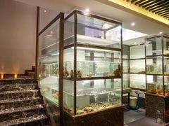 -甄御•海鲜新青岛菜(麦岛店)