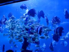 -左海海底世界