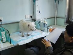 -纳吉亚猫专科动物医院博雅分院