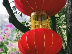 -小南山公园