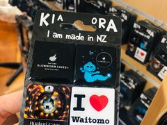 -怀托摩萤火虫洞